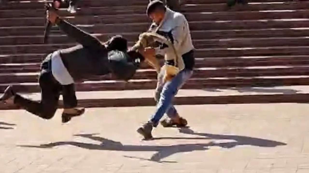 পেশাগত দায়িত্ব পালনের জবাবে এভাবেই হামলার শিকার সাংবাদিকরা