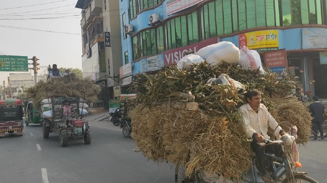 চাঁপাইনবাবগঞ্জে সড়কে ট্রলি-ট্রাক্টরের দৌরাত্ম্য