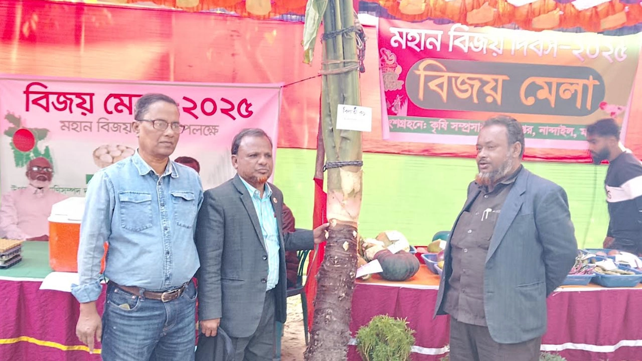 ৬০ কেজি ওজনের বিলাতী কচু