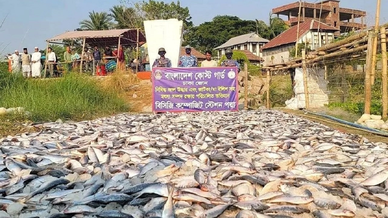 জব্দ করা জাটকা