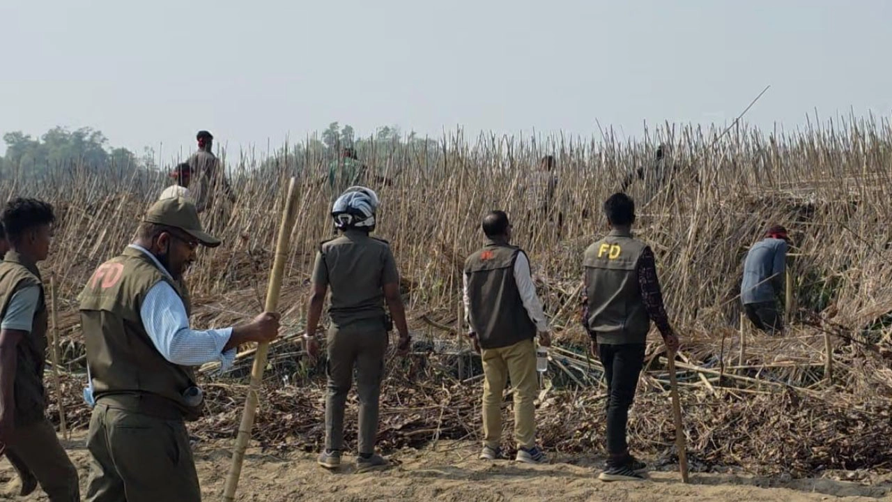 বনবিভাগের ৬০ হেক্টর বনভূমি উদ্ধার