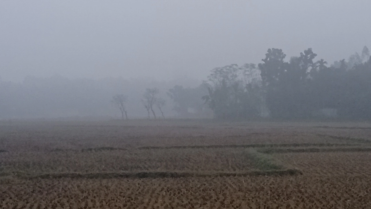পঞ্চগড়ে তাপমাত্রা বাড়লেও কমেনি শীতের দাপট | এনপিবি