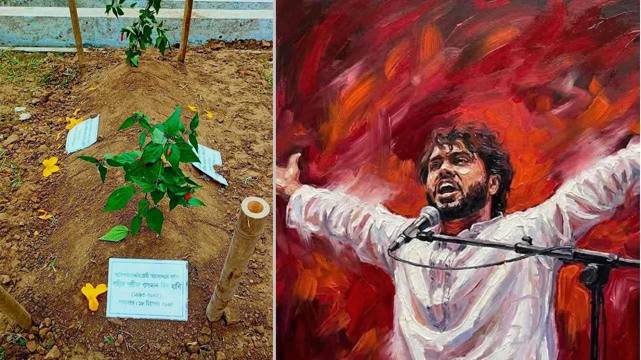 বিপ্লবী চেতনার প্রতীক রক্তজবা ফুলগাছ