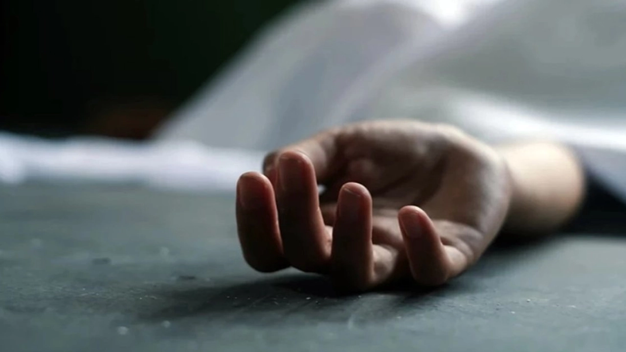 ফাইল ছবি