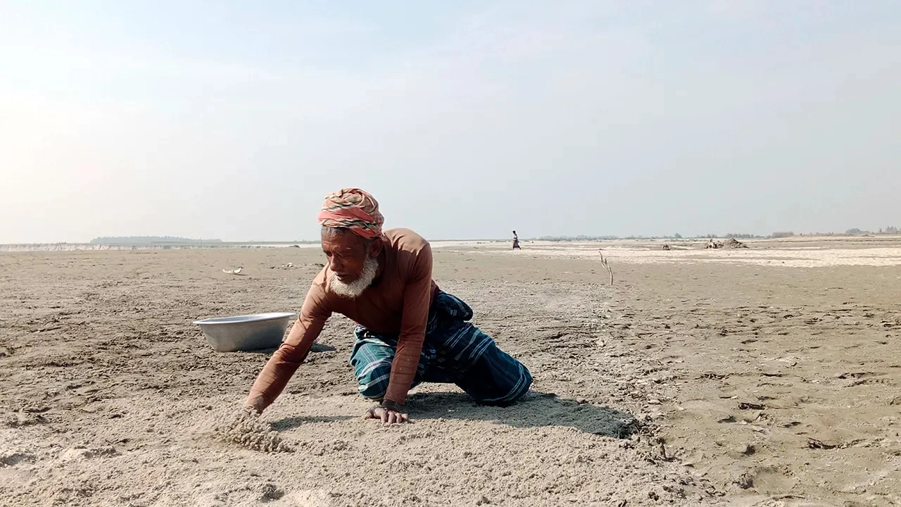 জেগে ওঠা বালু চরে স্বপ্ন বুননে ব্যস্ত চিলমারীর প্রান্তিক কৃষক