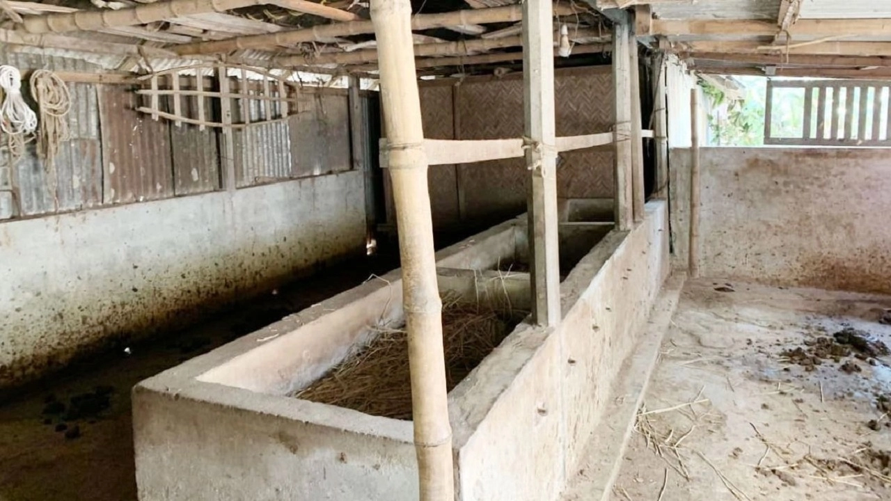 গোয়ালঘর