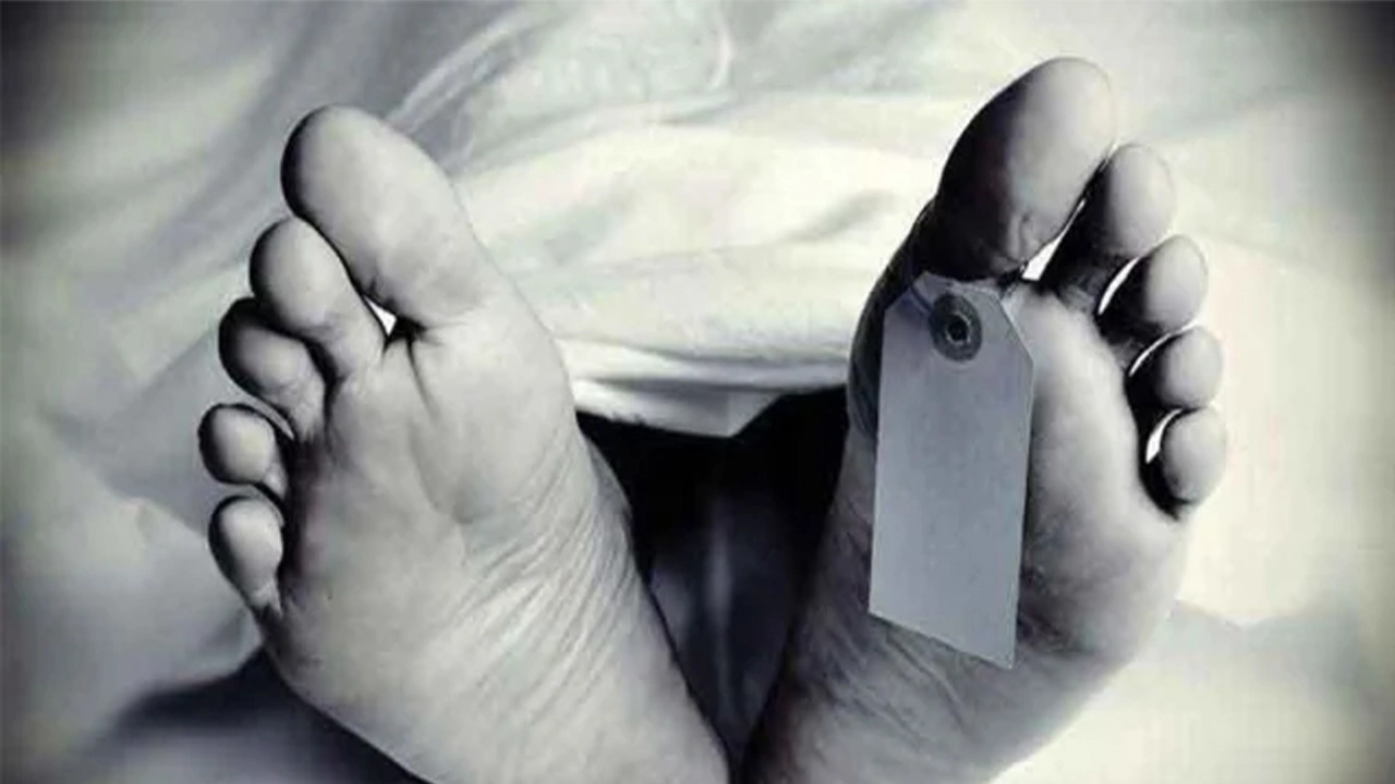 ফাইল ছবি