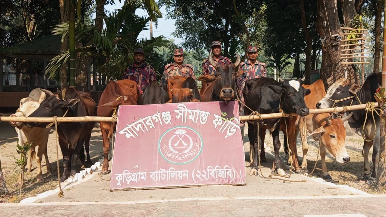 বিজিবি’র বিশেষ অভিযানে বিপুল পরিমাণ মাদক ও চোরাচালানি পণ্য জব্দ