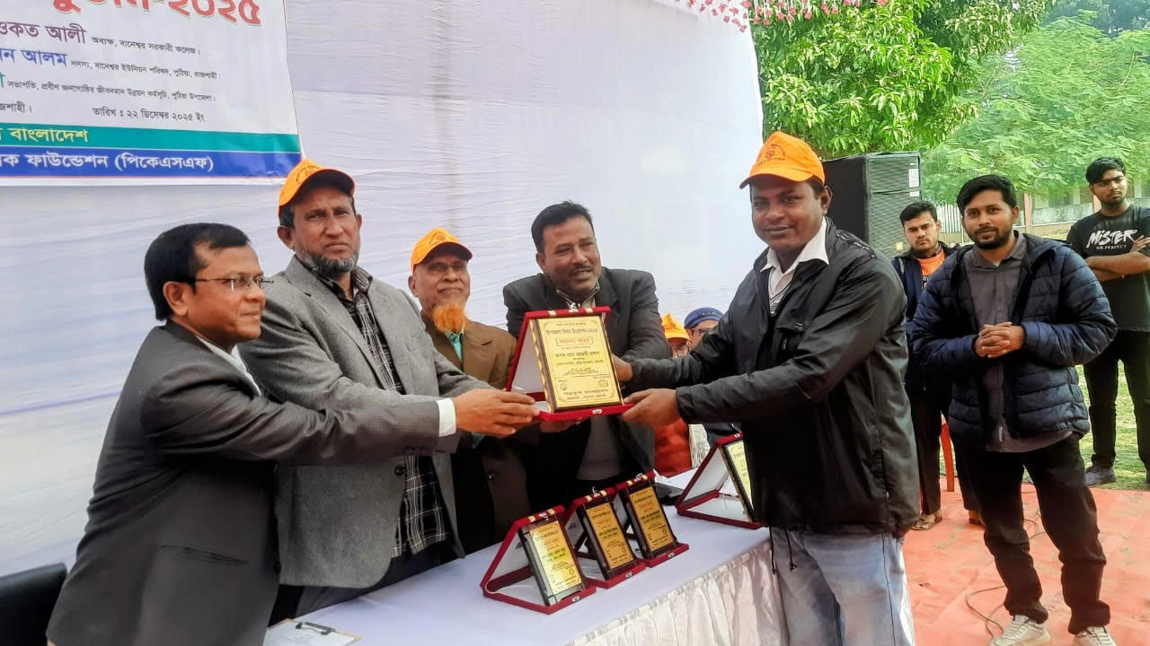 উপজেলা দিবস পালিত