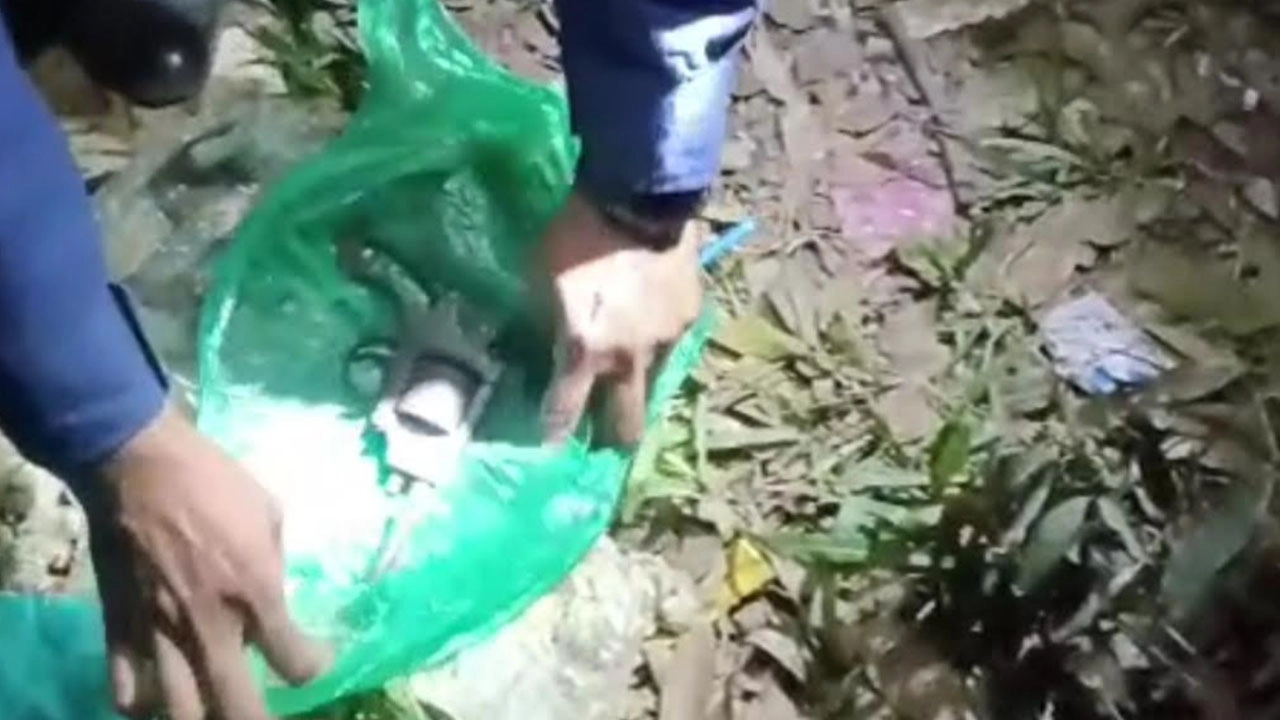 পরিত্যক্ত পিস্তল ও দুই রাউন্ড গুলি উদ্ধার