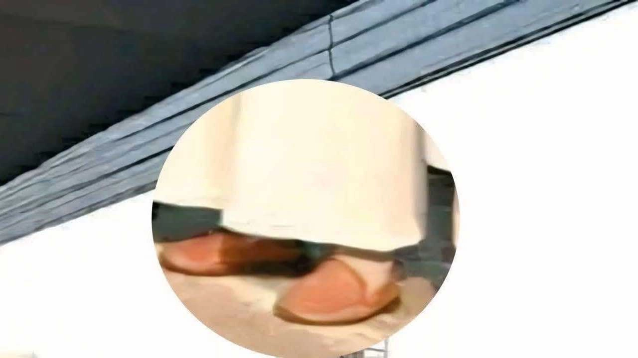 ছবি সংগৃহীত