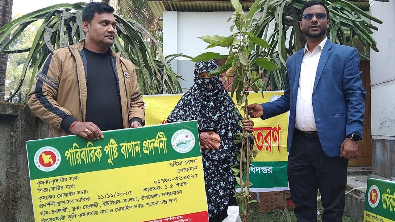 সবজি উৎপাদনের জন্য বিনামূল্যে উপকরণ বিতরণ 