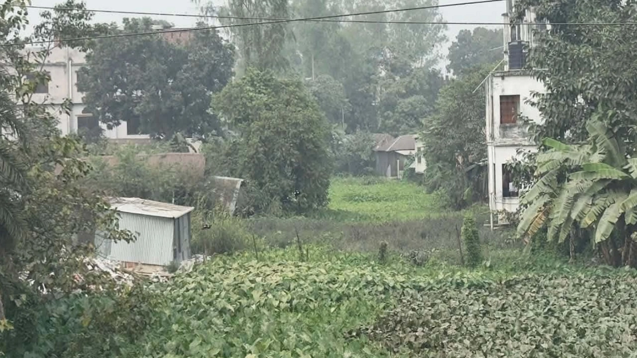 কেশরখালী খাল