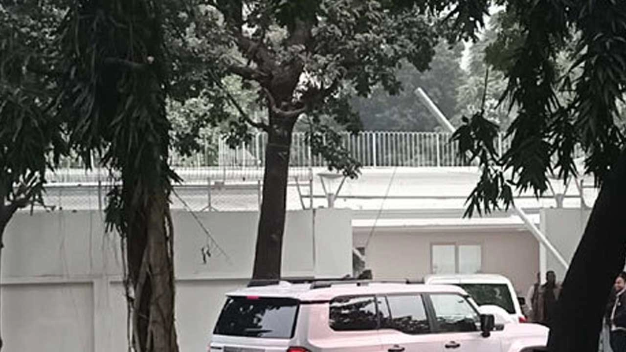 ছবি: এনপিবি নিউজ