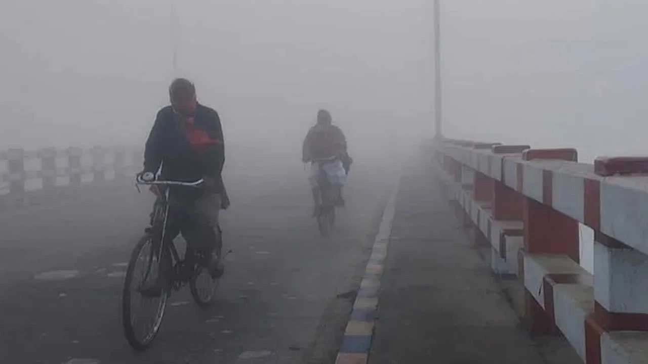 ছবি: এনপিবি নিউজ