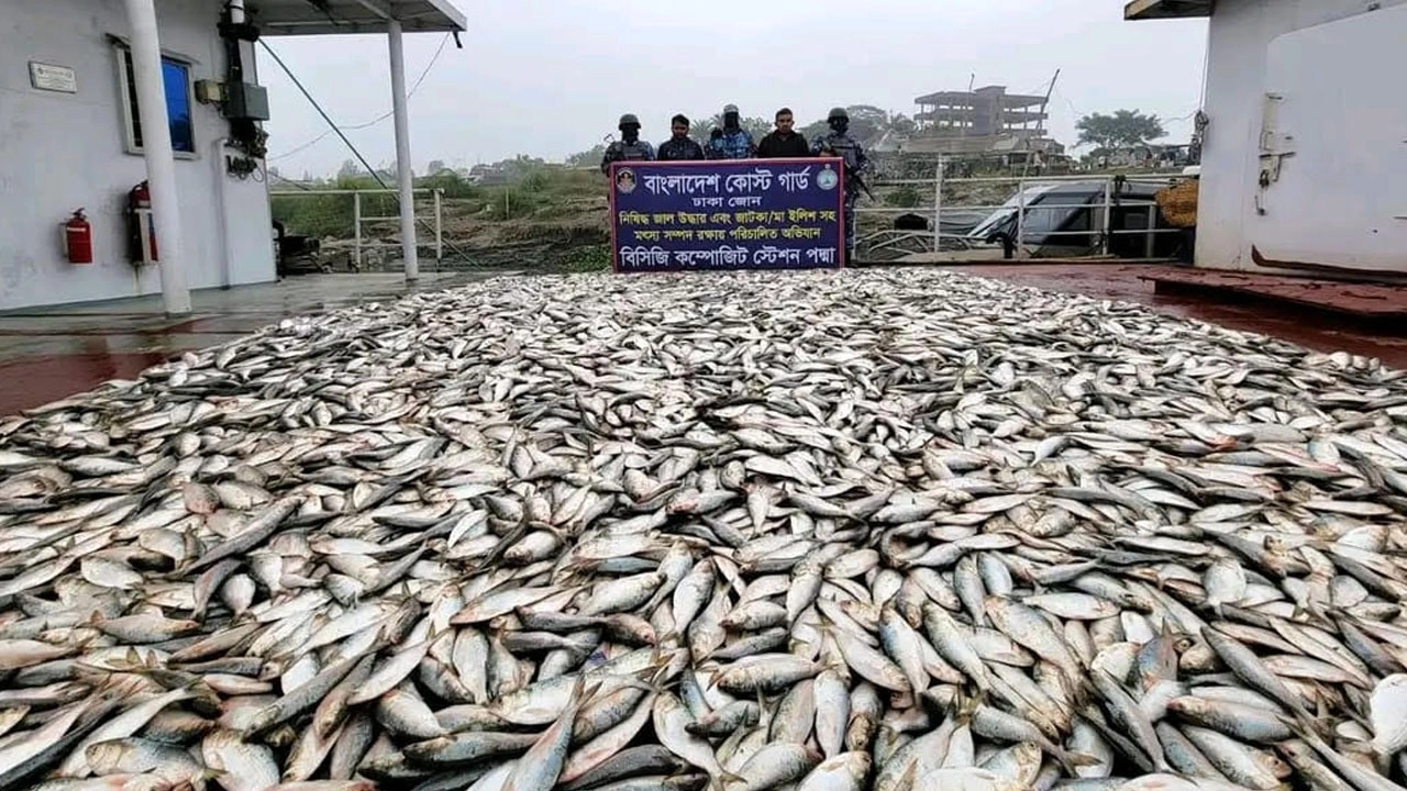 মুন্সীগঞ্জে প্রায় ৪৫ লক্ষ ৫০ হাজার টাকা মূল্যের ৬ হাজার ৫০০ কেজি জাটকা জব্দ করা হয়েছে।