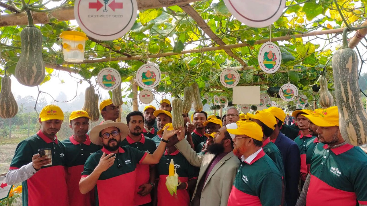 ইস্ট-ওয়েস্ট সীডের বীজ