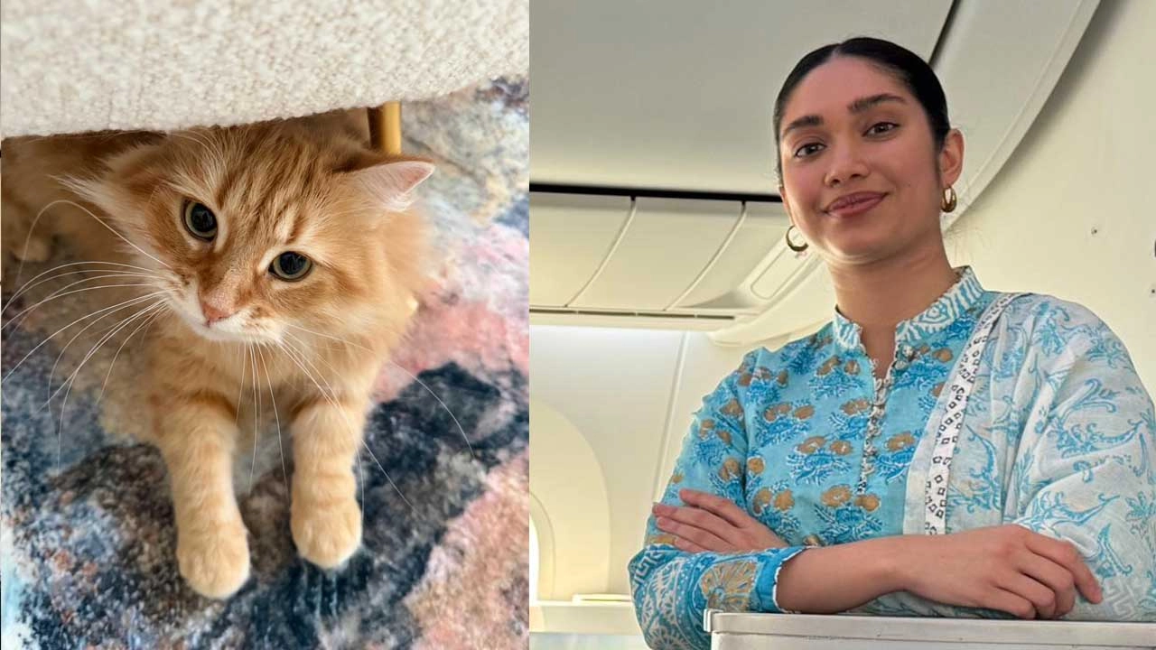 পোষা বিড়াল ‘জেবু’ ও জাইমা রহমান