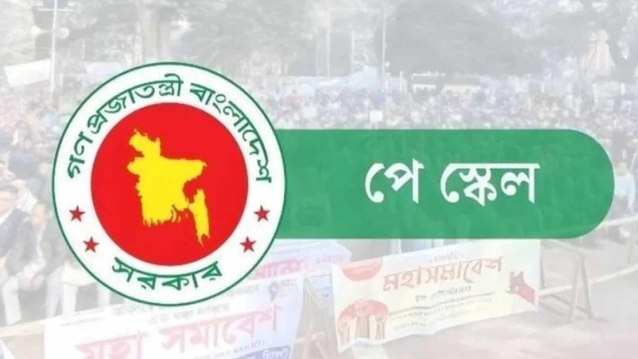 ছবি সংগৃহীত