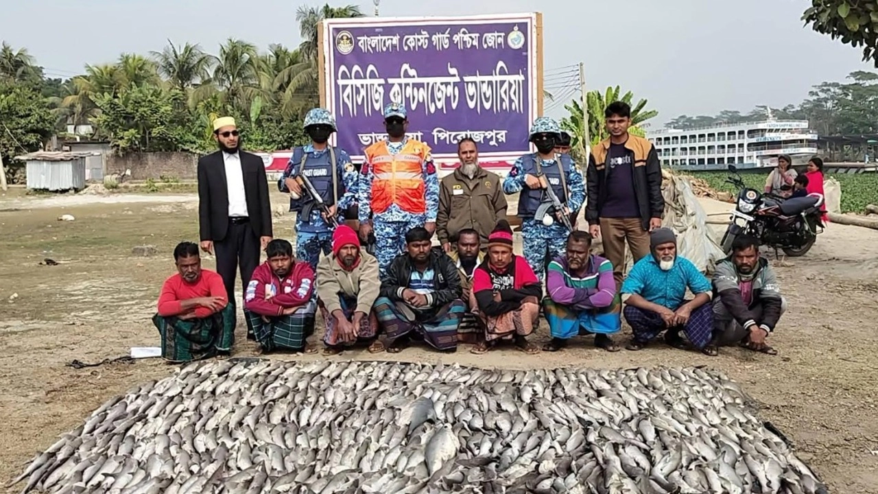 কোস্টগার্ডের অভিযানে ৪৯১টি হাঙ্গর জব্দ 