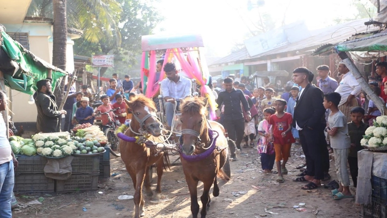 প্রধান শিক্ষককে ঘোড়ার গাড়িতে ছড়িয়ে রাজকীয় বিদায়