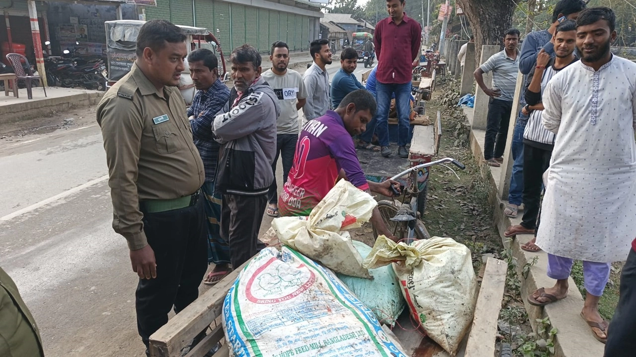 সরকারি পুকুরের মাছ ভাগাভাগি