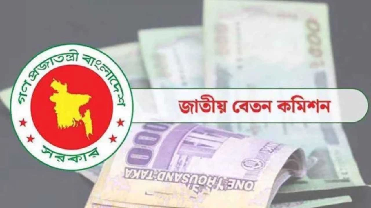 ছবি সংগৃহীত