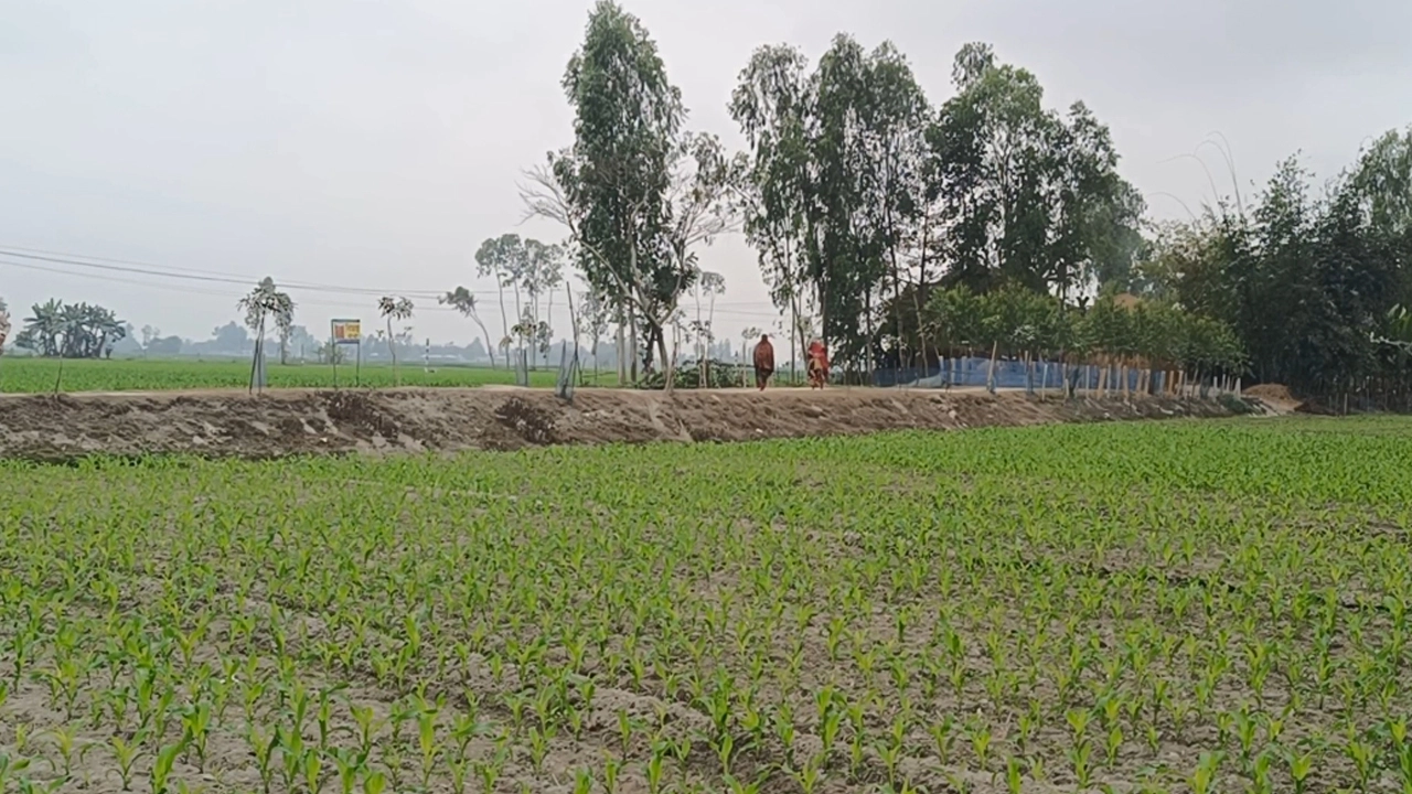 ছবি: এনপিবি