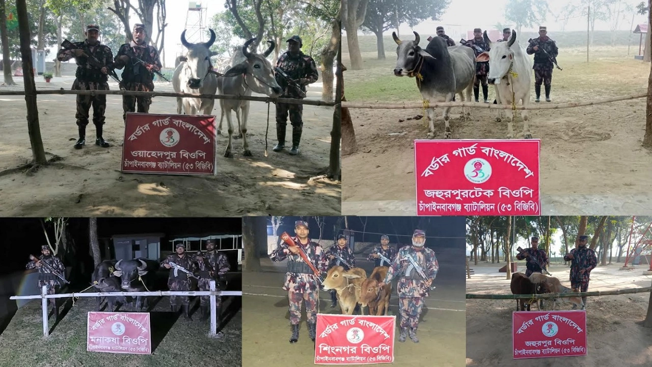 বিজিবির বিশেষ অভিযান