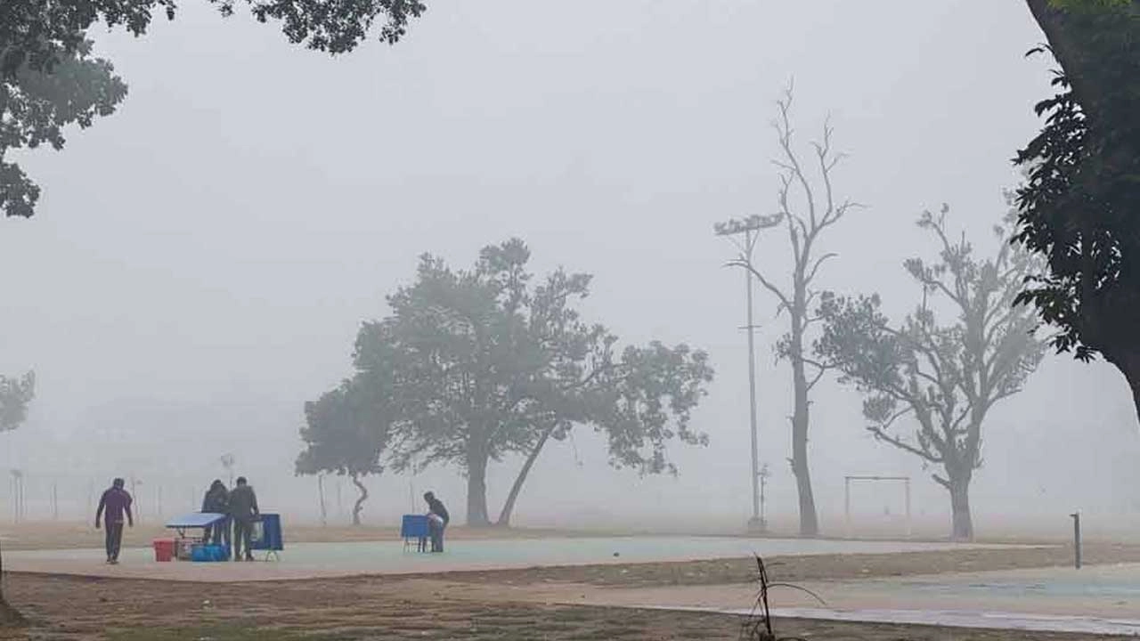 ছবি: এনপিবি নিউজ