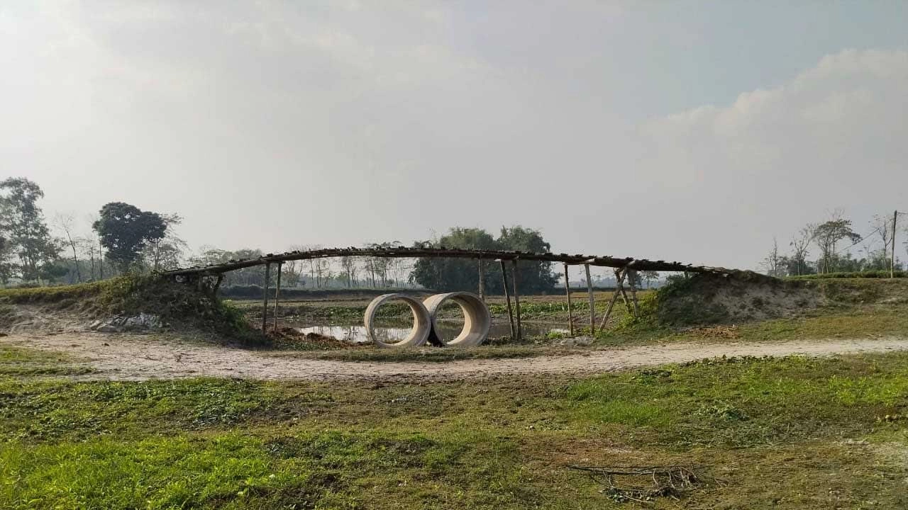 সীমান্ত পিলার এলাকায় শতাধিক বিএসএফ সদস্যরা এই নির্মাণকাজ শুরু করে