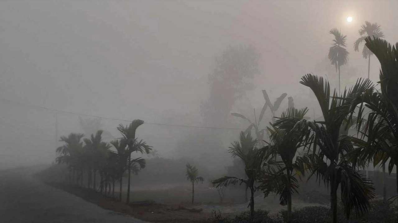 ফাইল ছবি