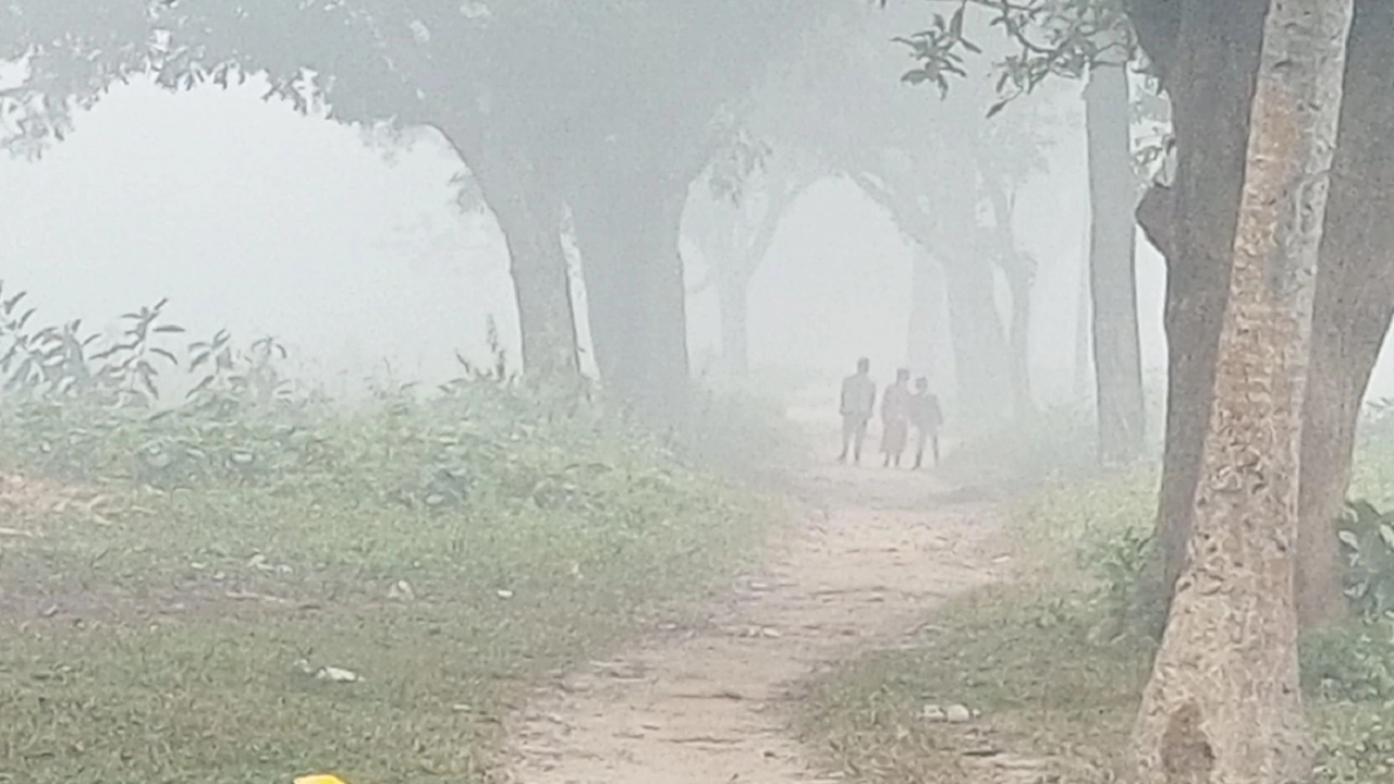 দিনাজপুরে হাড়কাঁপানো শীত