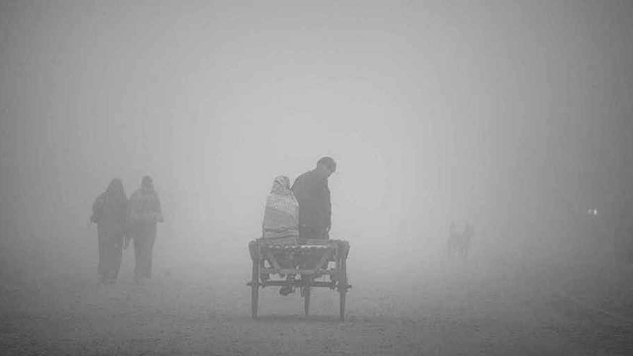 ছবি: এনপিবি নিউজ