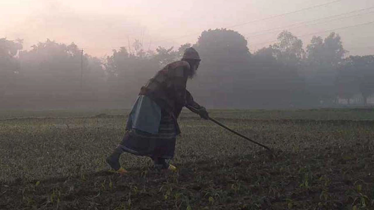 ছবি সংগৃহীত