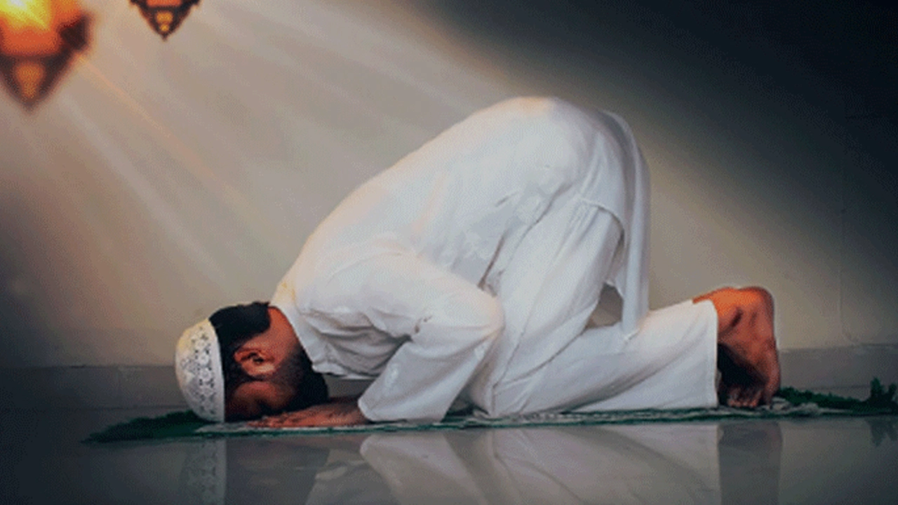 ফাইল ছবি