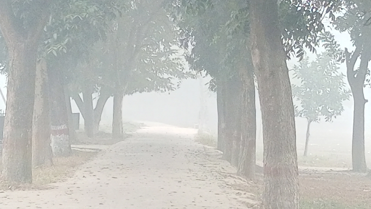 দিনাজপুরে তাপমাত্রা নামল ৯ ডিগ্রিতে