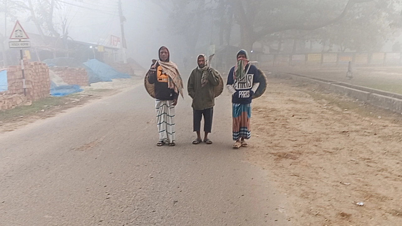 ঘন কুয়াশা আর হিমেল উত্তরের হাওয়ায় হাড়কাঁপানো শীতে বিপর্যস্ত হয়ে পড়েছে জনজীবন