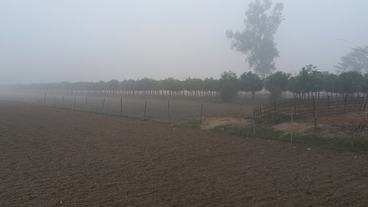 হিমেল বাতাসে পঞ্চগড়ে জেলায় মৃদু শৈত্যপ্রবাহ বয়ে যাচ্ছে