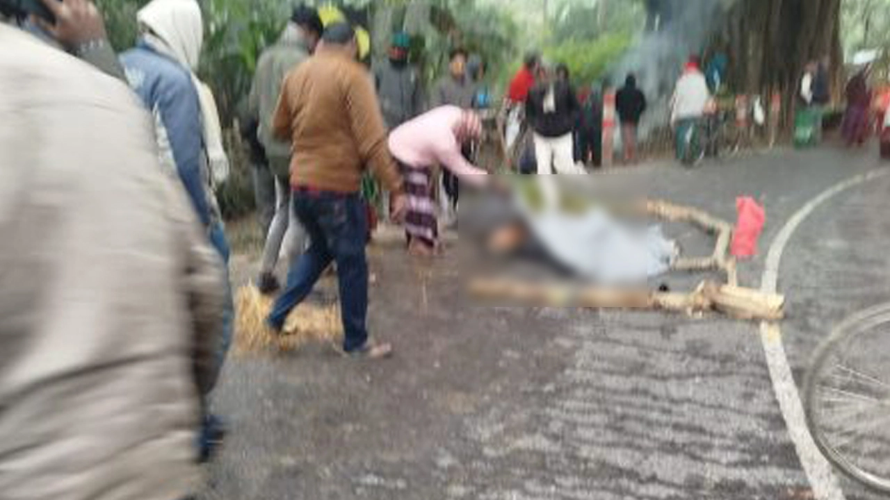 বালির ট্রাক ও মাছবাহী আলমসাধুর মুখোমুখি সংঘর্ষে মাছ ব্যবসায়ী নিহত