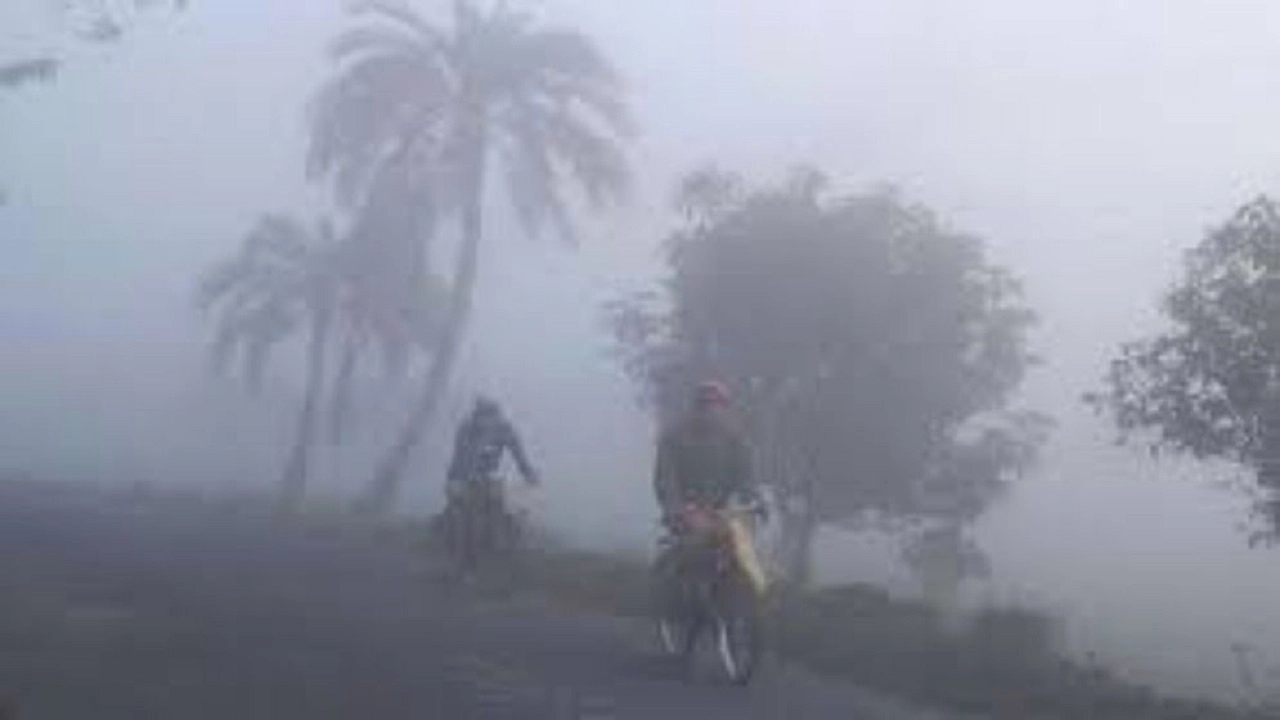 ঘন কুয়াশা