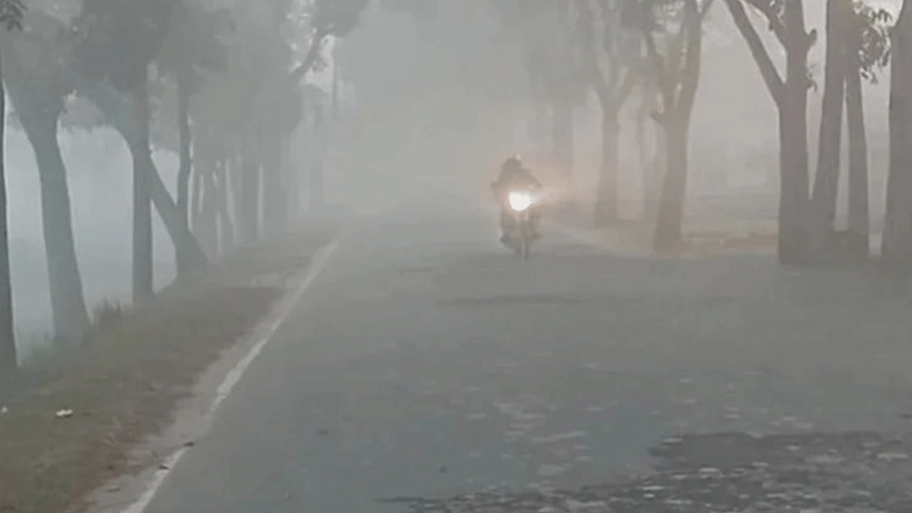 ফাইল ছবি