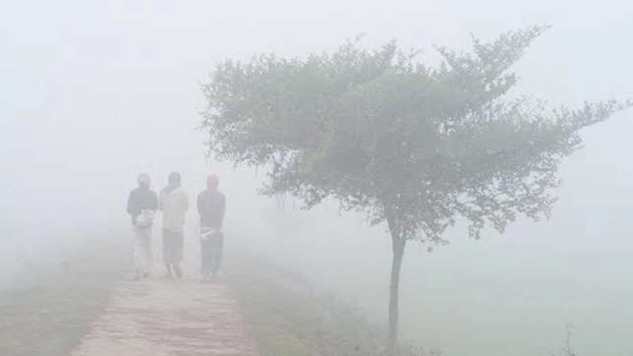 ঘন কুয়াশা