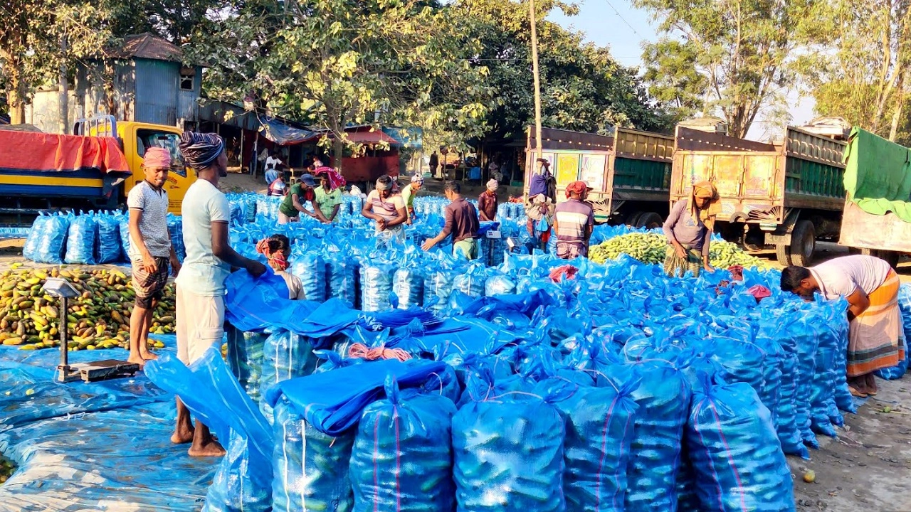 খিরার ও আলুর হাট