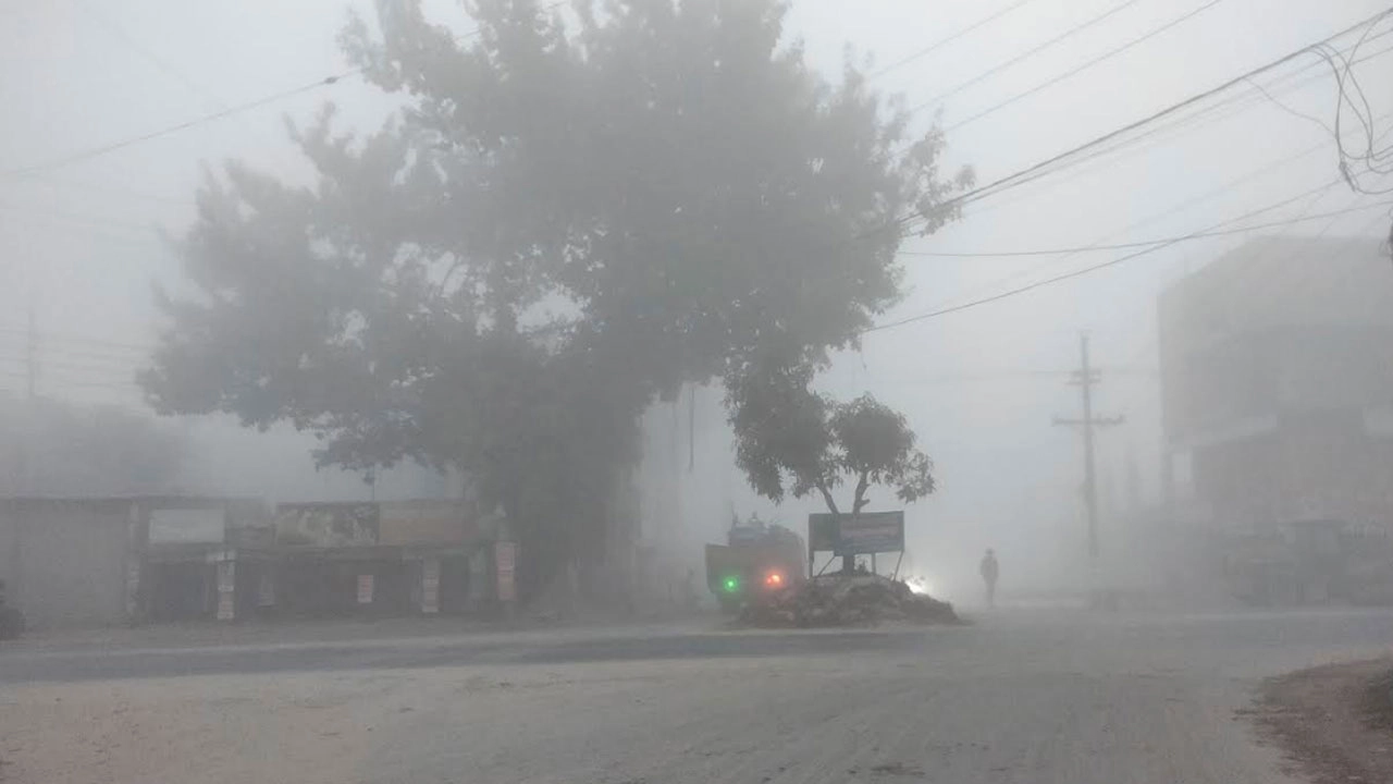 ফাইল ছবি