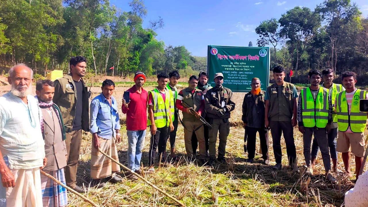 বনবিভাগের অভিযান