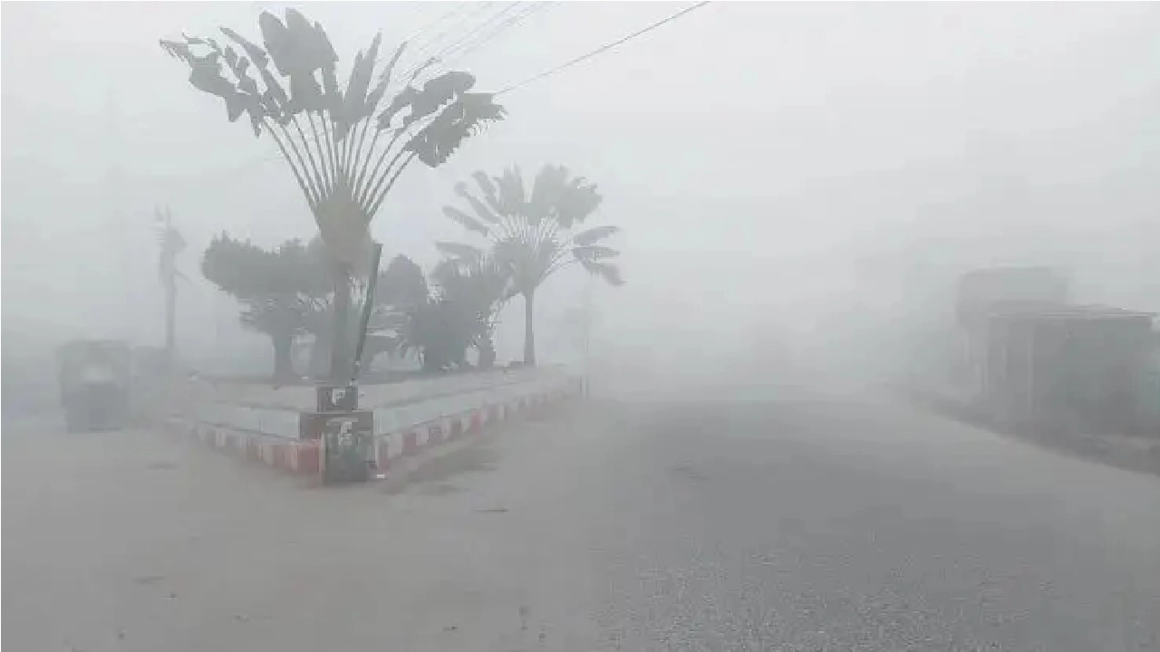 কুয়াশাচ্ছন্ন সকাল