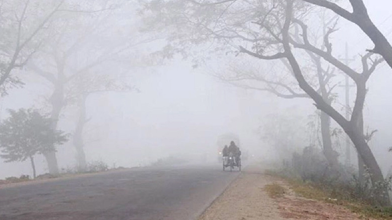 ছবি সংগৃহীত