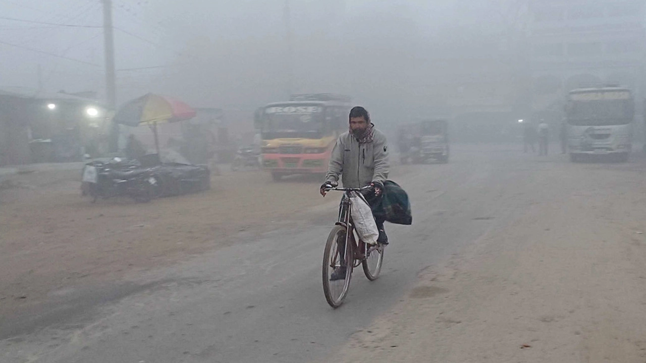 ছবি সংগৃহীত