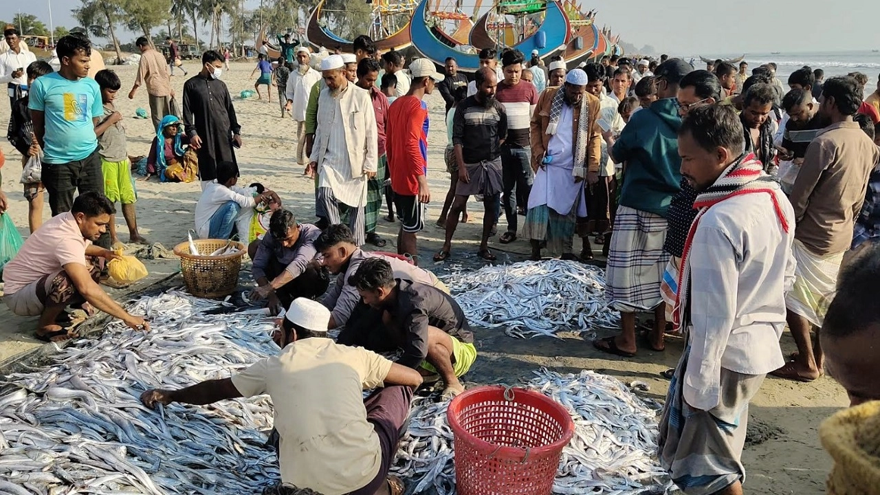 জেলেদের জালে বিভিন্ন প্রজাতির অন্তত ১০৬ মণ মাছ ধরা পড়েছে।